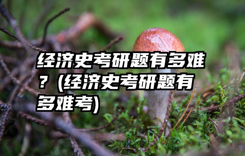 经济史考研题有多难？(经济史考研题有多难考)