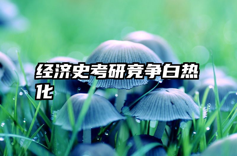 经济史考研竞争白热化