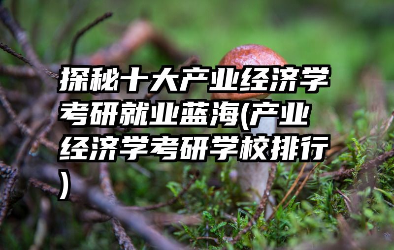 探秘十大产业经济学考研就业蓝海(产业经济学考研学校排行)