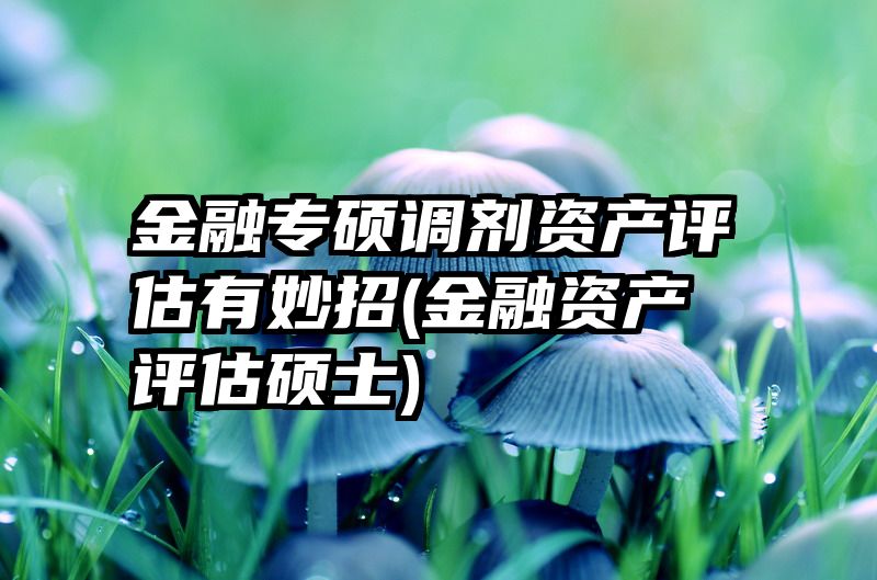 金融专硕调剂资产评估有妙招(金融资产评估硕士)