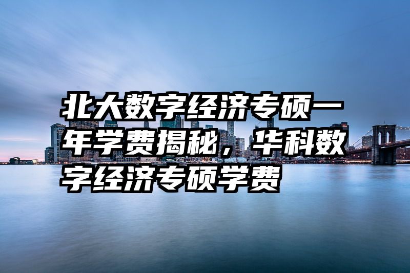 北大数字经济专硕一年学费揭秘，华科数字经济专硕学费