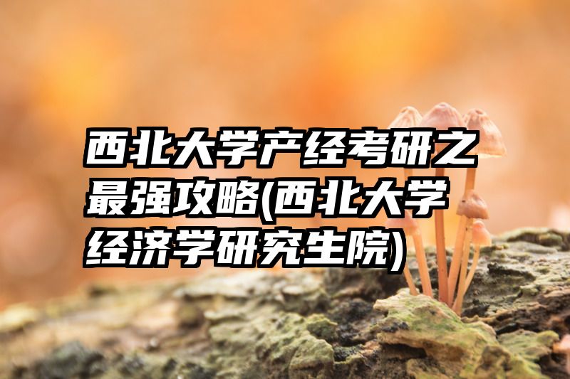 西北大学产经考研之最强攻略(西北大学经济学研究生院)