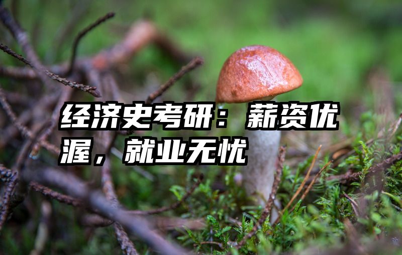 经济史考研：薪资优渥，就业无忧