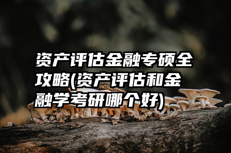 资产评估金融专硕全攻略(资产评估和金融学考研哪个好)