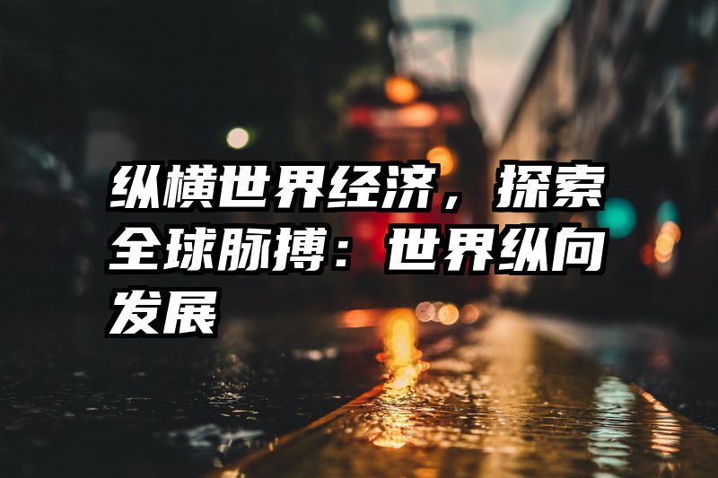 纵横世界经济，探索全球脉搏：世界纵向发展