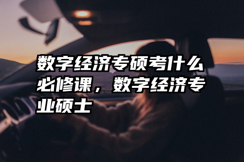 数字经济专硕考什么必修课，数字经济专业硕士