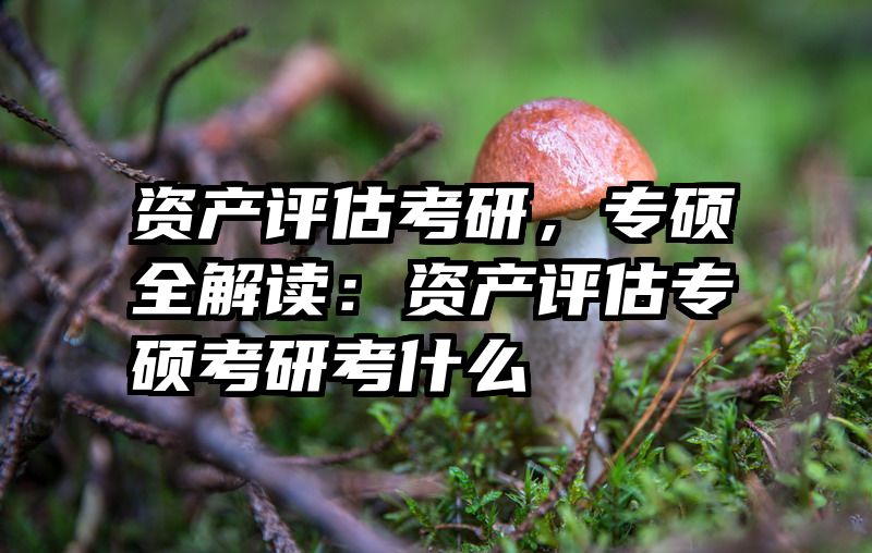 资产评估考研，专硕全解读：资产评估专硕考研考什么