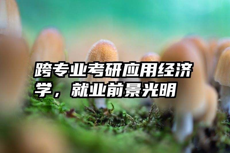 跨专业考研应用经济学，就业前景光明