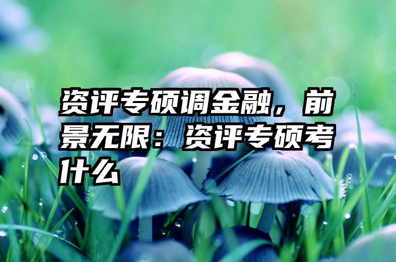 资评专硕调金融，前景无限：资评专硕考什么