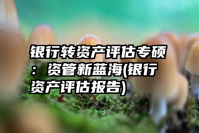 银行转资产评估专硕：资管新蓝海(银行资产评估报告)