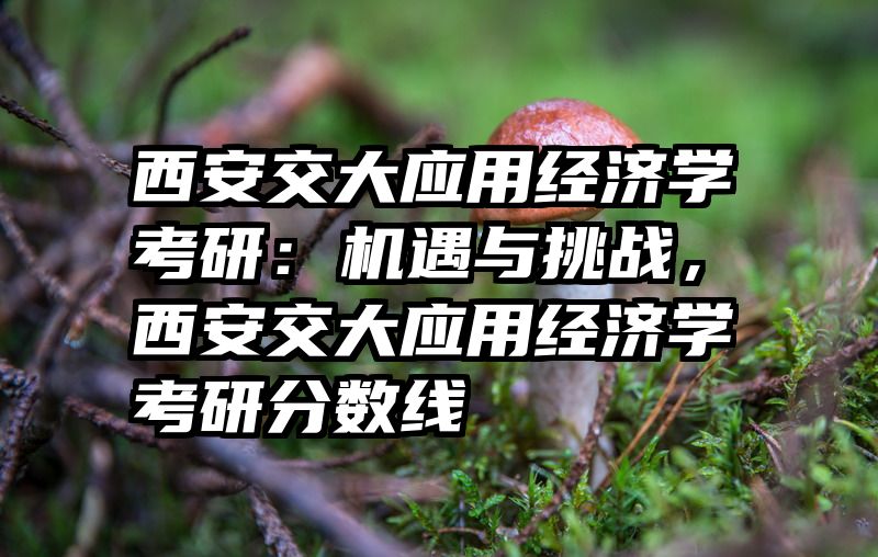 西安交大应用经济学考研：机遇与挑战，西安交大应用经济学考研分数线