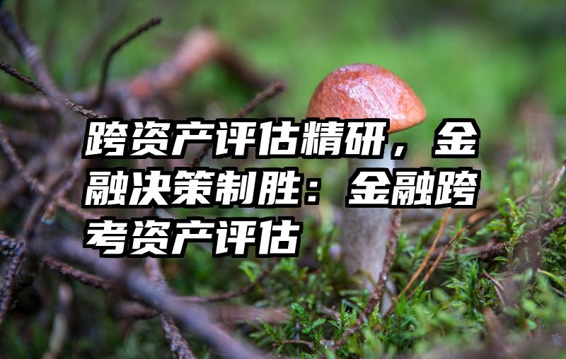 跨资产评估精研，金融决策制胜：金融跨考资产评估