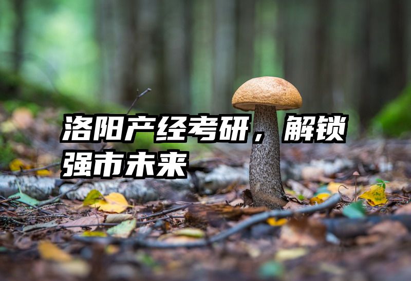 洛阳产经考研，解锁强市未来