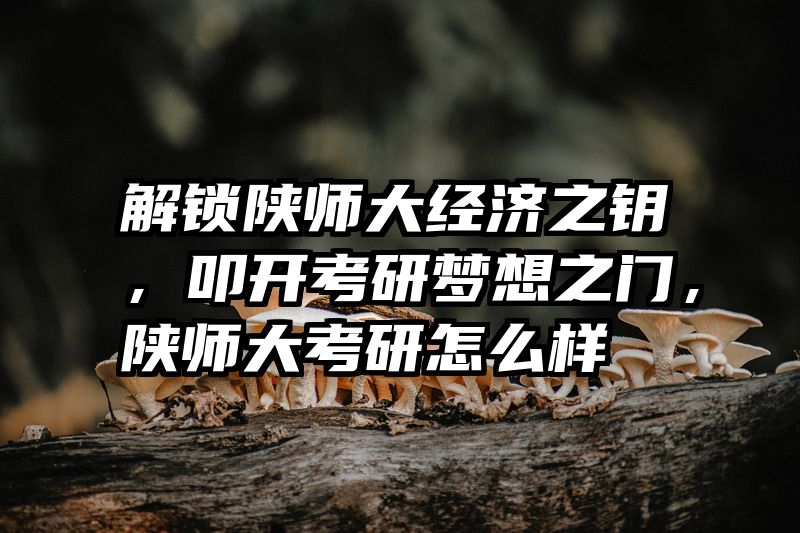 解锁陕师大经济之钥，叩开考研梦想之门，陕师大考研怎么样