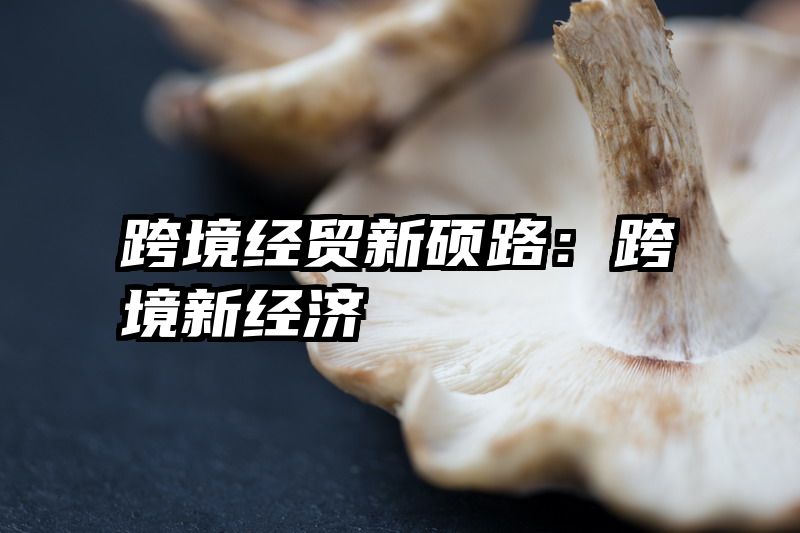 跨境经贸新硕路：跨境新经济