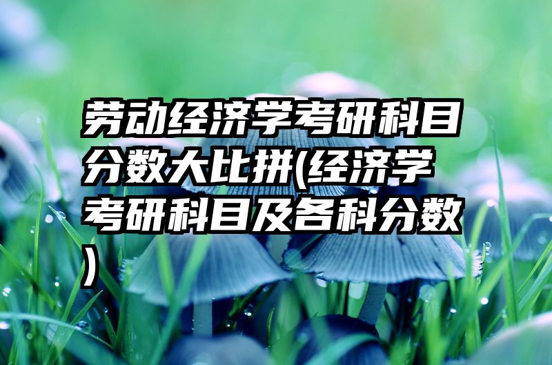 劳动经济学考研科目分数大比拼(经济学考研科目及各科分数)