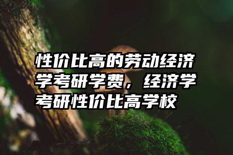 性价比高的劳动经济学考研学费，经济学考研性价比高学校