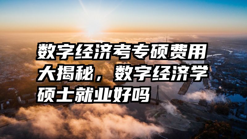 数字经济考专硕费用大揭秘，数字经济学硕士就业好吗