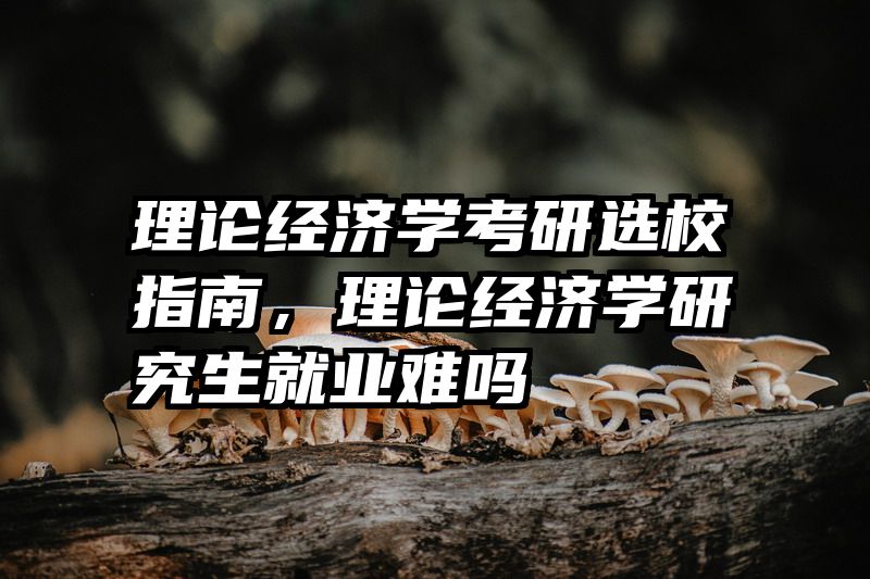 理论经济学考研选校指南，理论经济学研究生就业难吗