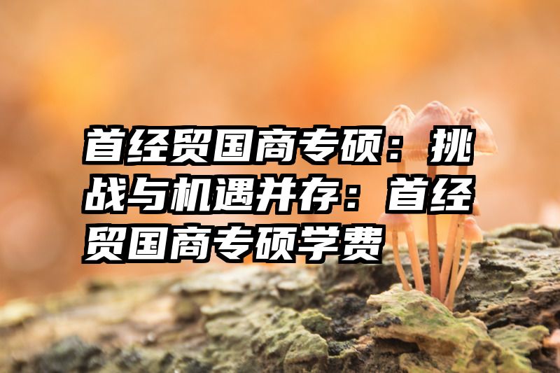 首经贸国商专硕：挑战与机遇并存：首经贸国商专硕学费