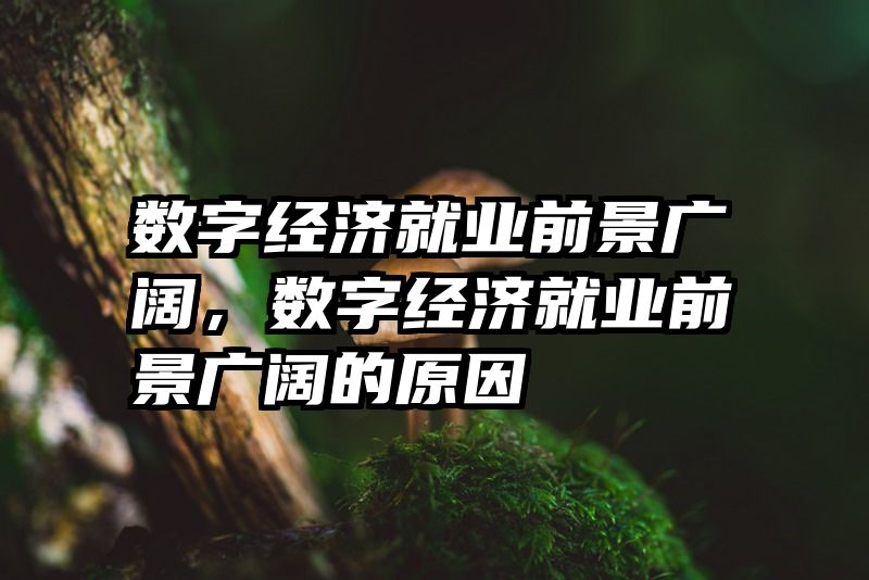 数字经济就业前景广阔，数字经济就业前景广阔的原因