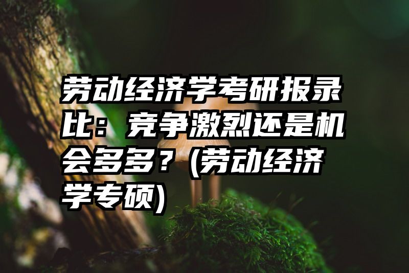 劳动经济学考研报录比：竞争激烈还是机会多多？(劳动经济学专硕)