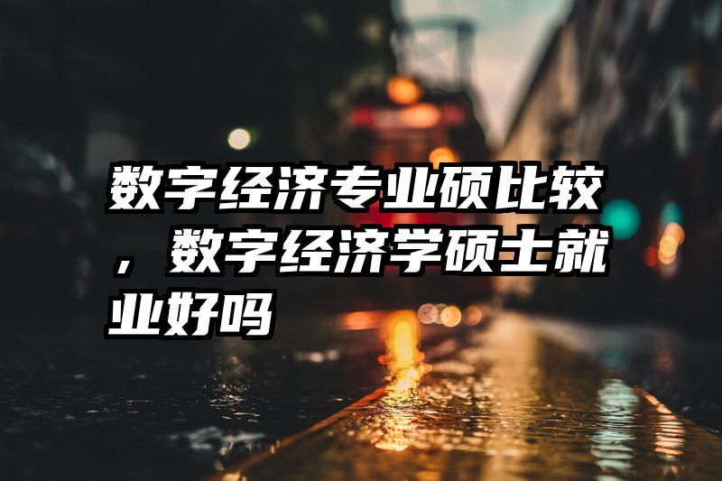 数字经济专业硕比较，数字经济学硕士就业好吗