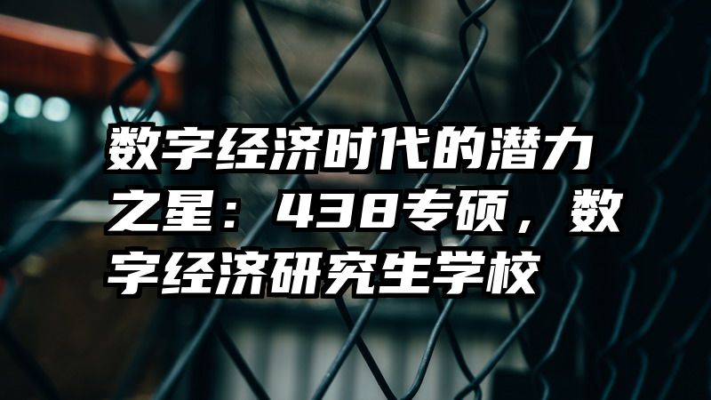 数字经济时代的潜力之星：438专硕，数字经济研究生学校