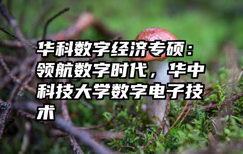 华科数字经济专硕：领航数字时代，华中科技大学数字电子技术