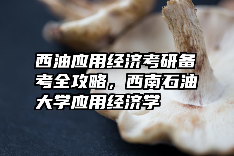 西油应用经济考研备考全攻略，西南石油大学应用经济学