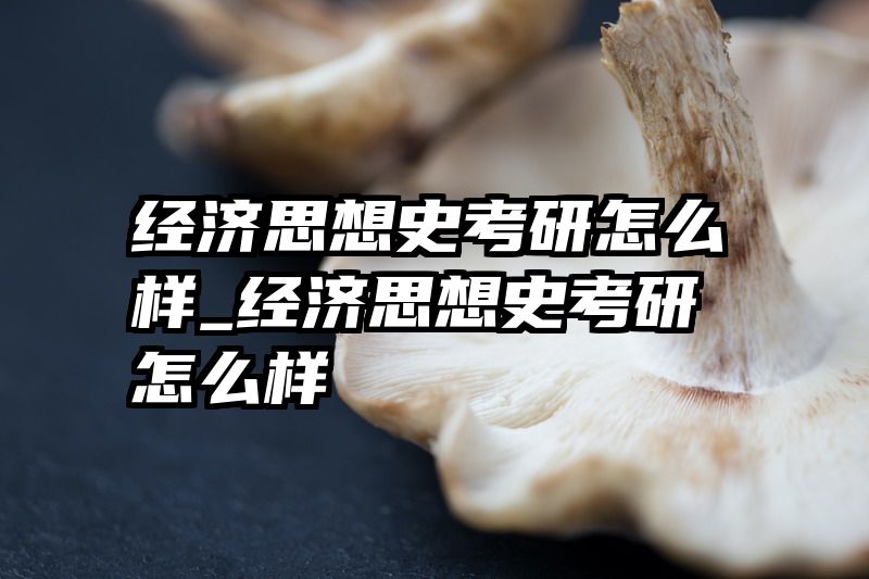 经济思想史考研怎么样_经济思想史考研怎么样