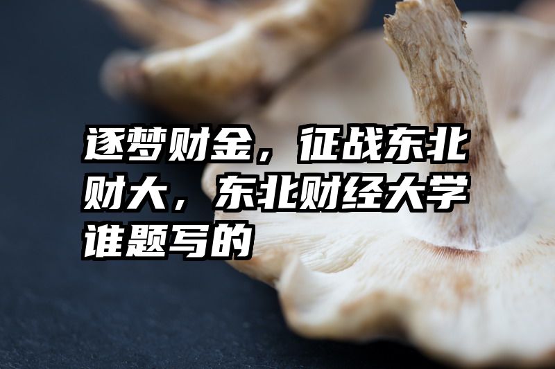 逐梦财金，征战东北财大，东北财经大学谁题写的