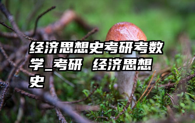 经济思想史考研考数学_考研 经济思想史