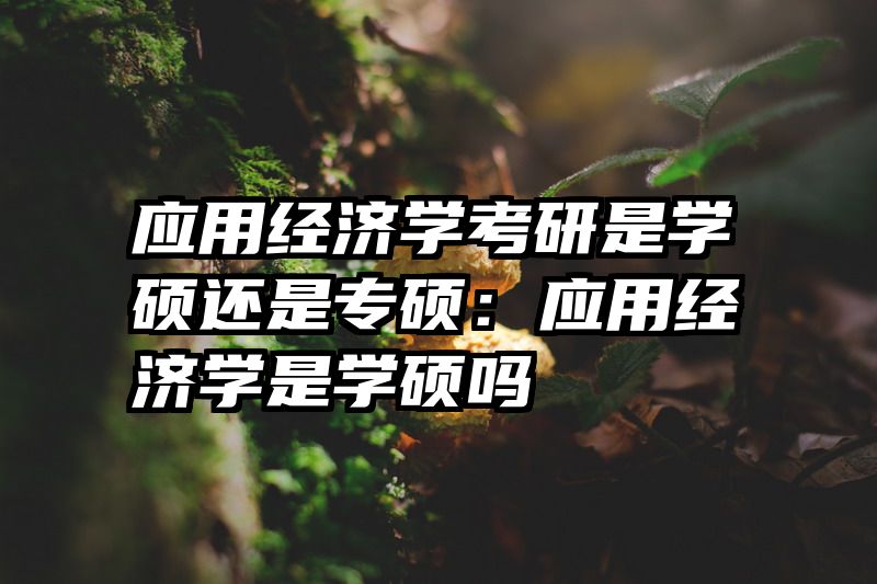 应用经济学考研是学硕还是专硕：应用经济学是学硕吗