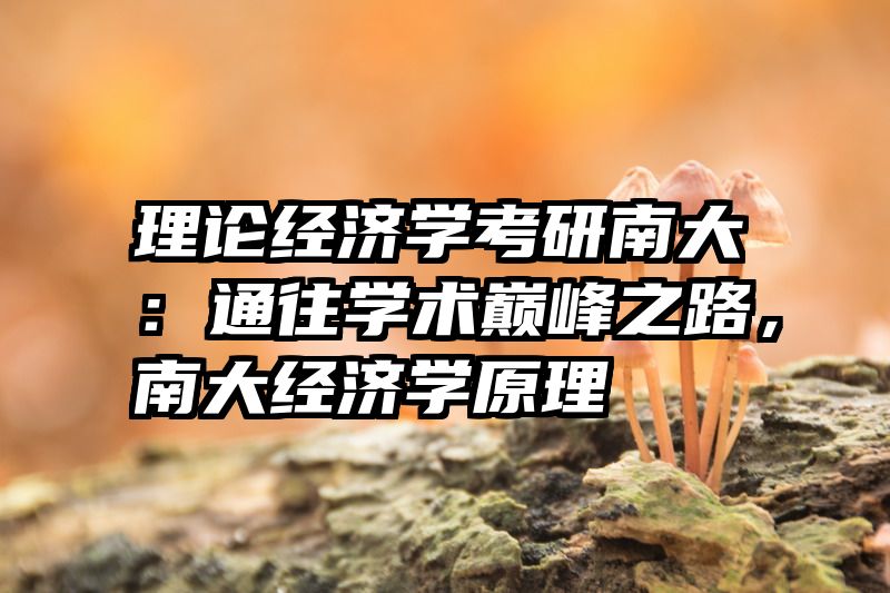 理论经济学考研南大：通往学术巅峰之路，南大经济学原理