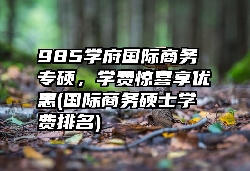 985学府国际商务专硕，学费惊喜享优惠(国际商务硕士学费排名)