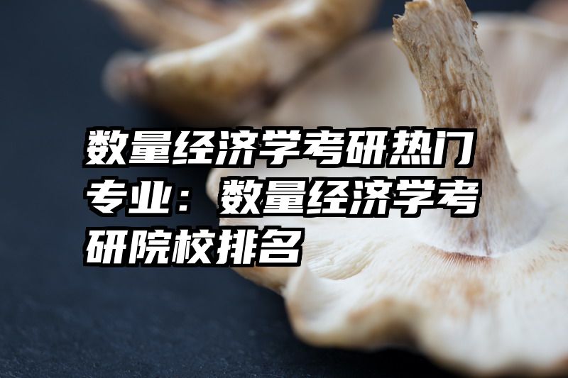 数量经济学考研热门专业：数量经济学考研院校排名