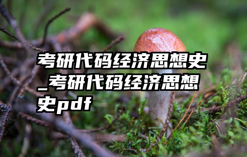 考研代码经济思想史_考研代码经济思想史pdf