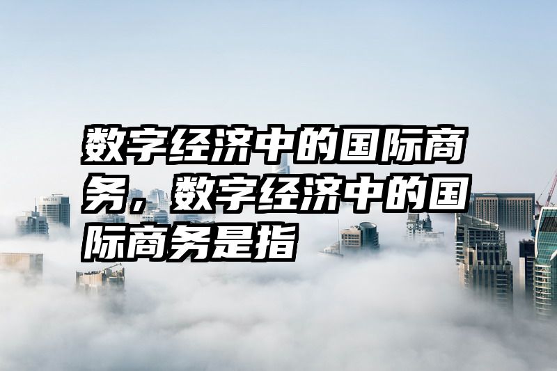 数字经济中的国际商务，数字经济中的国际商务是指