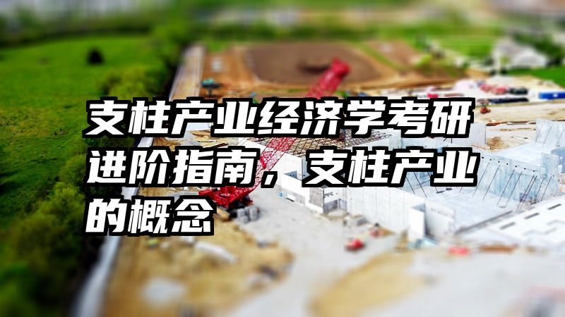 支柱产业经济学考研进阶指南，支柱产业的概念