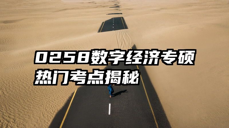 0258数字经济专硕热门考点揭秘