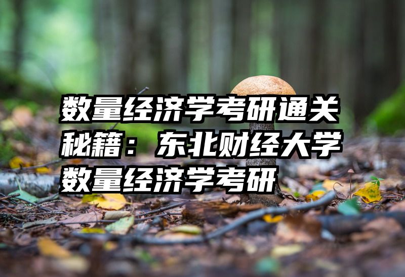 数量经济学考研通关秘籍：东北财经大学数量经济学考研