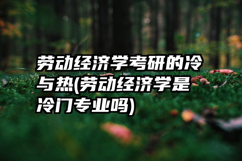 劳动经济学考研的冷与热(劳动经济学是冷门专业吗)