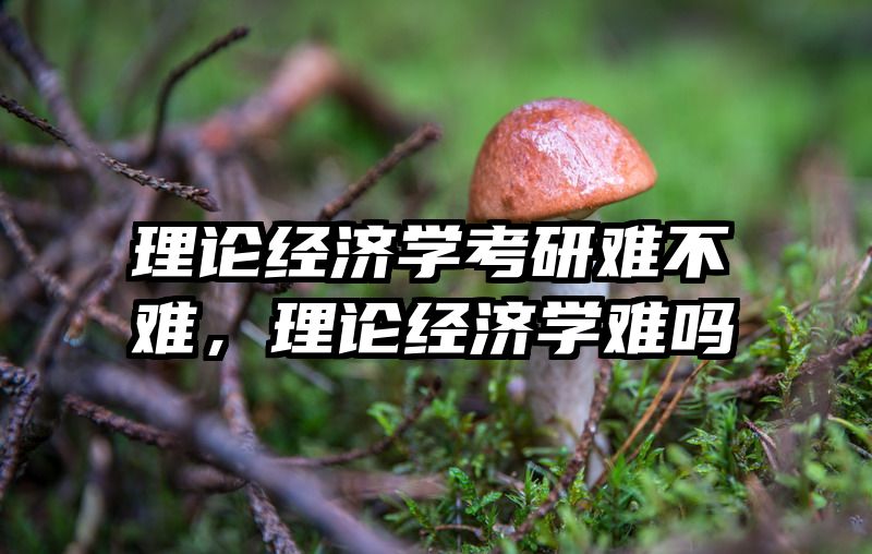 理论经济学考研难不难，理论经济学难吗