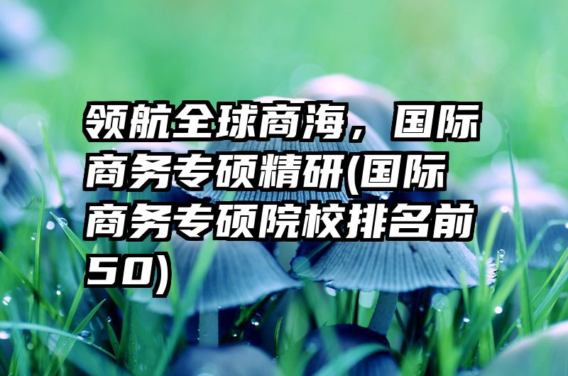 领航全球商海，国际商务专硕精研(国际商务专硕院校排名前50)