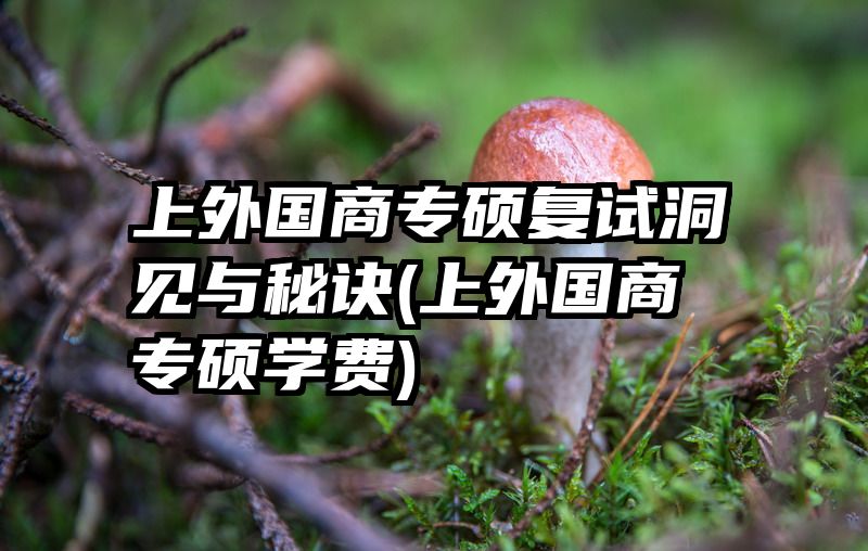 上外国商专硕复试洞见与秘诀(上外国商专硕学费)