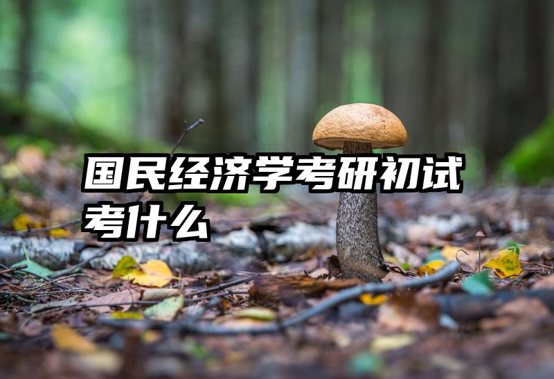 国民经济学考研初试考什么