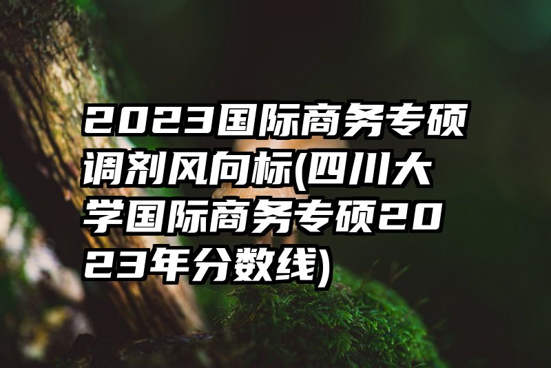 2023国际商务专硕调剂风向标(四川大学国际商务专硕2023年分数线)