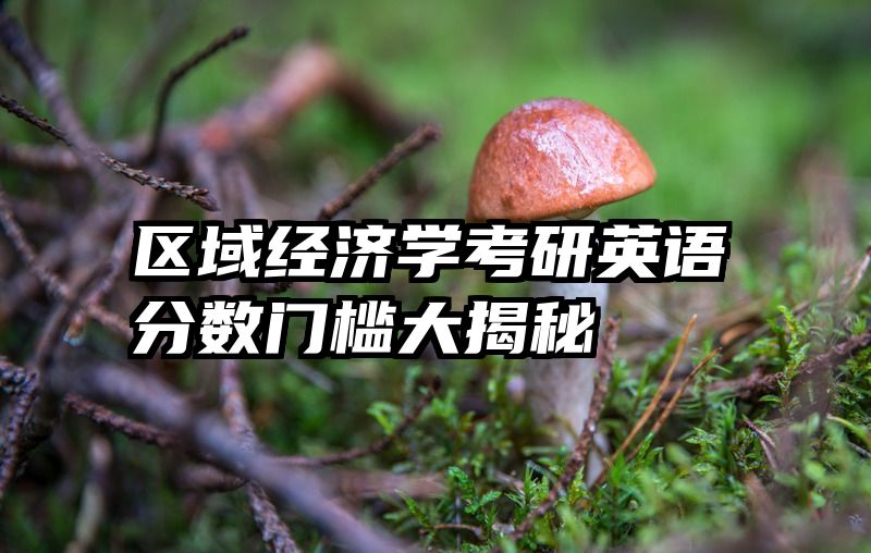 区域经济学考研英语分数门槛大揭秘