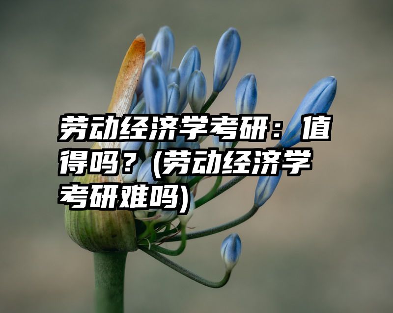 劳动经济学考研：值得吗？(劳动经济学考研难吗)